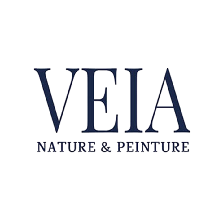 Logo VEIA